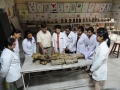 dissection-hall-anatomy